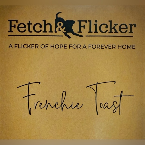 Frenchie Toast - Picture 1 of 1